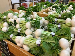 IMG_9161