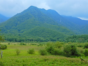 DSCN9497