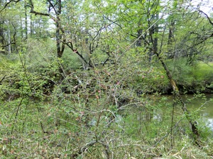 DSCN0645