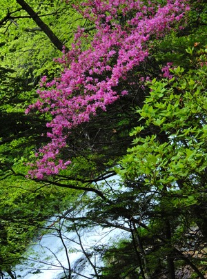 DSCN9885