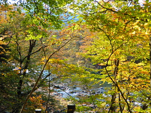 DSCN0283