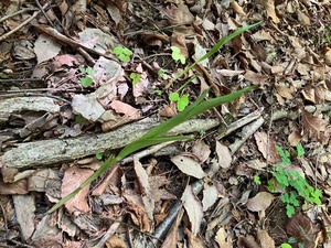 IMG_9176