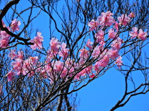 DSCN0477