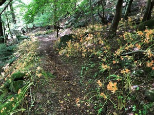 IMG_5268