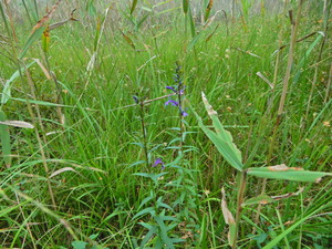 DSCN0260