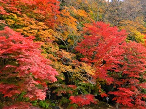 DSCN1810