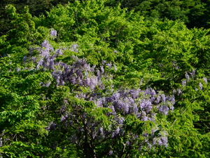 DSCN9935