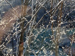 IMG_1383