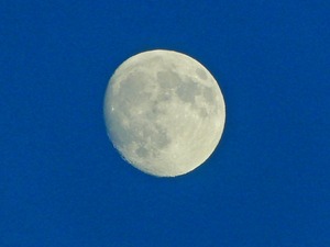 DSCN9717