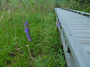 DSCN0257