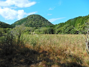 DSCN9744
