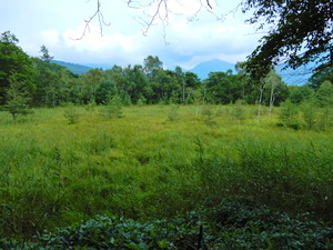 DSCN9726