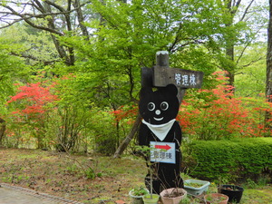 DSCN0194