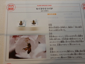 DSCN9355
