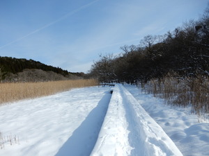 DSCN0268
