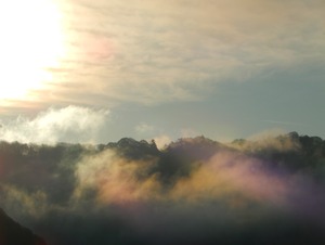 DSCN6776
