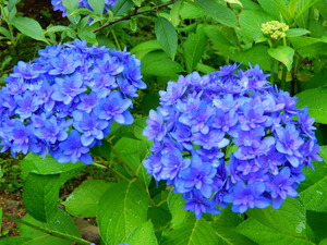 DSCN0056