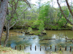 DSCN0650
