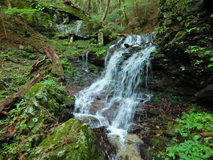 DSCN9435