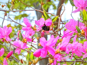 DSCN0106