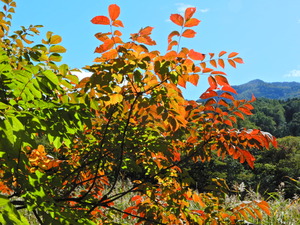 DSCN9829