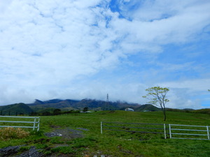 DSCN9283