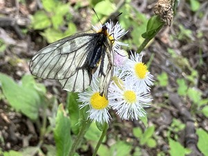 58898DC4-0CC8-43BF-9C0E-D62E280E7A62