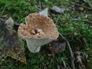 P9301345