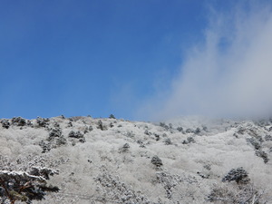 DSCN9753