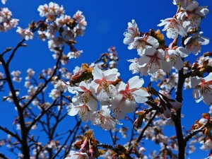DSCN0171