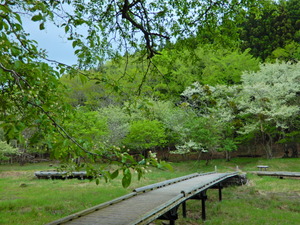 DSCN9564