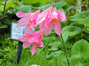 DSCN9702