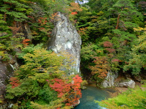 DSCN9478
