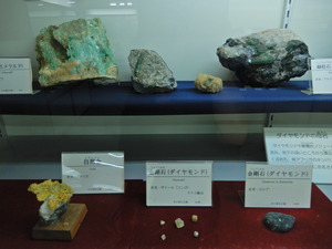 DSCN9722