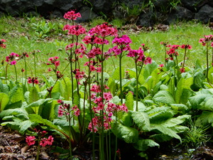 DSCN0623