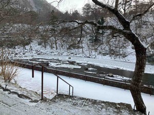 IMG_1117