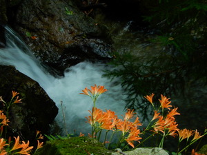 DSCN9858