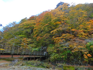 DSCN0391