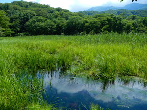 DSCN0701