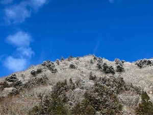 IMG_0692