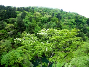 DSCN9718