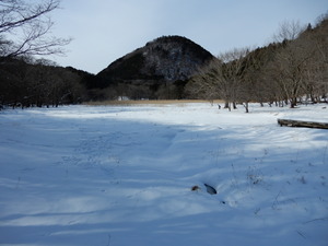 DSCN0287