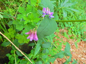 DSCN9557