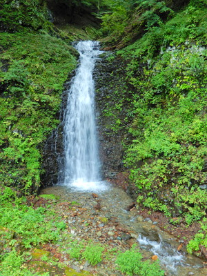 DSCN9441