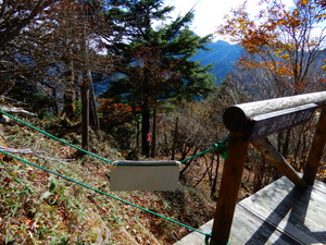 DSCN9924