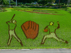 DSCN0065