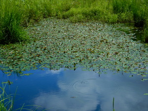DSCN0709