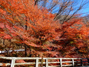 DSCN0286