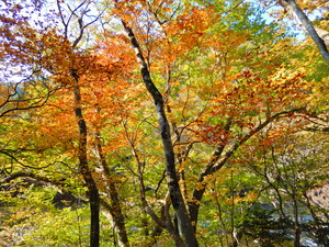 DSCN0279