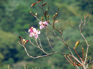 DSCN1605